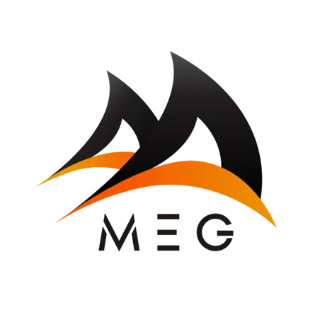 MEG
